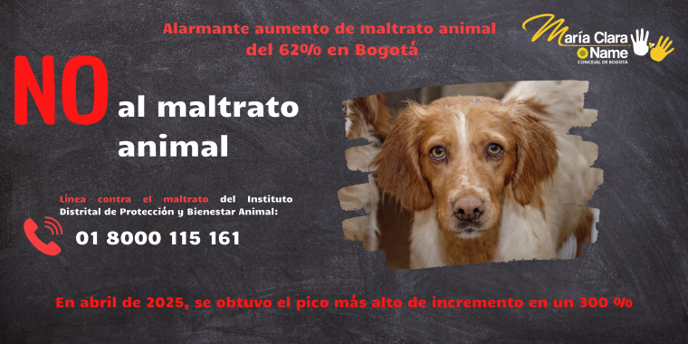 <p>Alarmante aumento de maltrato animal del 62% en Bogotá.</p>