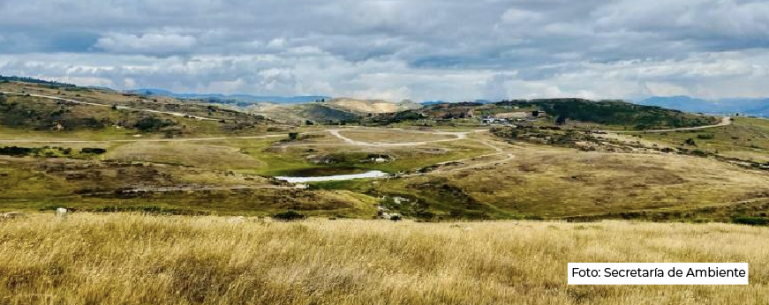 <p>Secretaría de Ambiente expone avances y retos en planes de manejo para Cerro Seco</p>