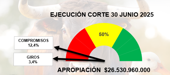 Grafica ejecución corte 30 de junio 2025
