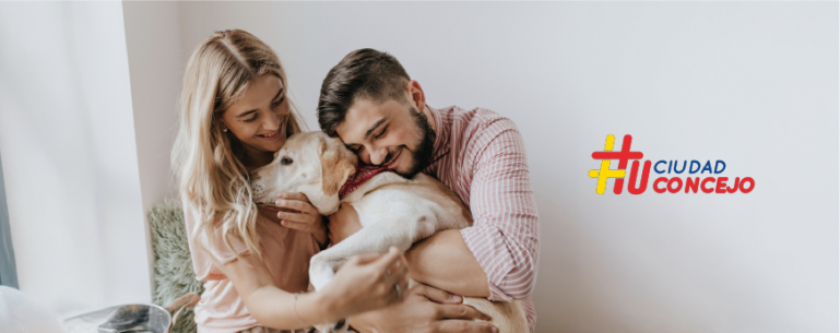 <p>Plenaria del Concejo adelantó foro sobre tenencia responsable y prevención del maltrato animal</p>