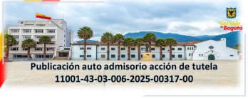 PUBLICACIÓN AUTO ADMISORIO ACCION DE TUTELA - RADICADO 11001430300620250031700