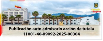PUBLICACIÓN AUTO ADMISORIO ACCION DE TUTELA - RADICADO 11001-40-09092-2025-00304