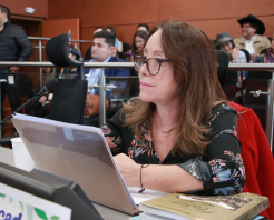Ana Teresa Bernal denuncia falta de garantías en debate sobre proyecto contra el antisemitismo en el Concejo de Bogotá