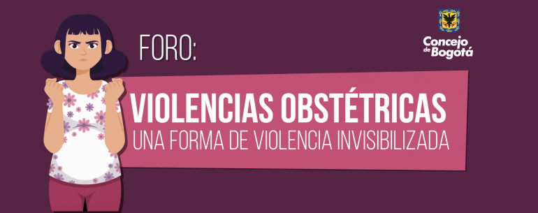 <p>Concejales y expertas alertan por la “normalización” de la violencia obstétrica en la atención en salud</p>