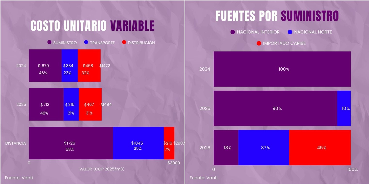 Gráficas costo unitario variable y fuentes por suministro