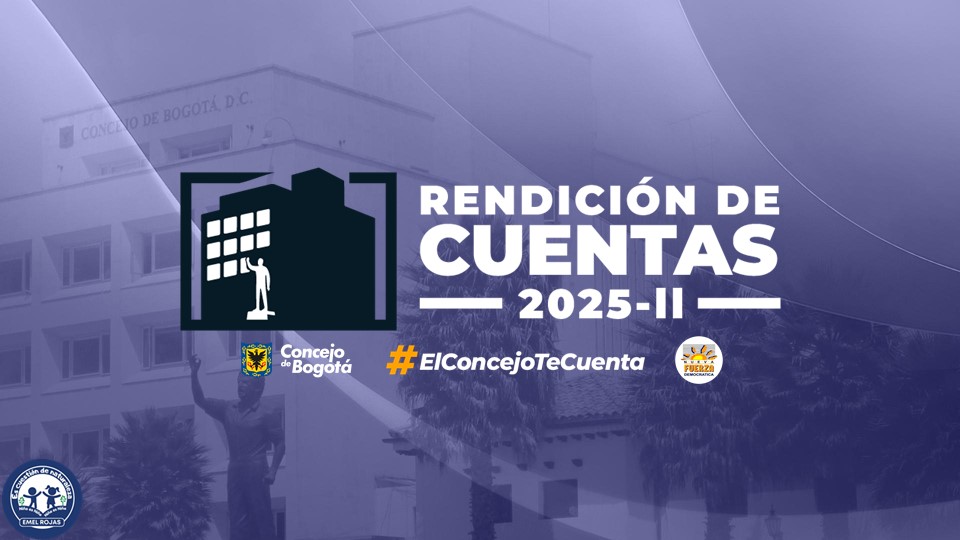 Imagen para visualizar en formato pdf la presentación del partido Nueva Fuerza Democrática