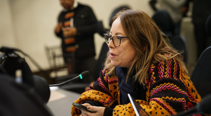 <p>Ana Teresa Bernal pide verdad y acompañamiento integral tras denuncia en jornada del Cabildante Estudiantil</p>