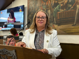 Concejala Ana Teresa Bernal advierte crisis estructural en la educación de Bogotá: caída de matrícula, deserción en grado noveno y estigmatización docente Concejala Ana Teresa Bernal advierte crisis estructural en la educación de Bogotá: caída de matrícula, deserción en grado noveno y estigmatización docente