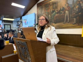 Ni seguridad ni paz: Concejala Ana Teresa Bernal cuestiona ejecución del Plan de Desarrollo “Bogotá Camina Segura”