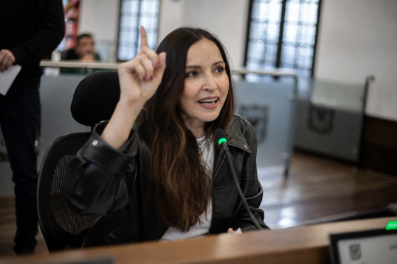 <p>Más de cinco troncales sin puertas y sin control: Calle 80, Calle 26, NQS, Suba y Caracas</p>