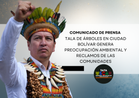 Tala de árboles en Ciudad Bolívar genera preocupación ambiental y reclamos de las comunidades
