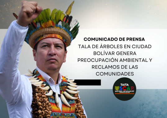 <p>Tala de árboles en Ciudad Bolívar genera preocupación ambiental y reclamos de las comunidades</p>