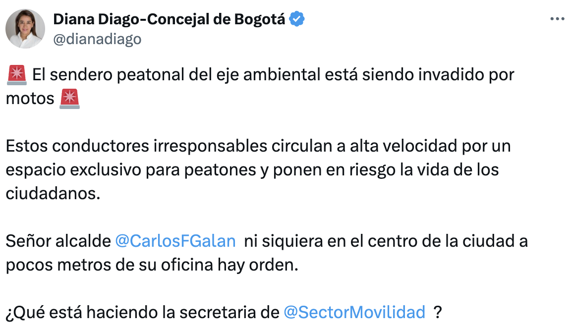 Imagen de publicacion de la concejal Diago en su red social X