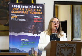 Más de 80 ciudadanos participaron en Audiencia Pública por la Vida y la Seguridad Humana mientras el Distrito no asistió