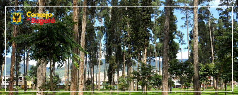 <p>Aprobado en primer debate Proyecto de Acuerdo sobre la integración de Bosques Urbanos en Bogotá</p>
